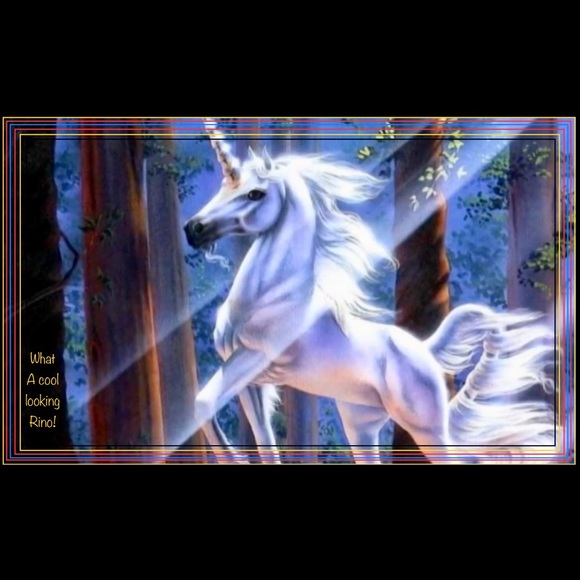 Meet your Posher, Kimberly - Picture 1 of 1